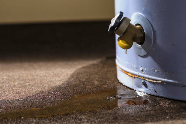 Carpet water damage restoration in LA
