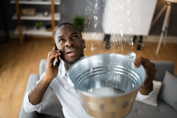  Mamou, LA Water damage restoration Pros