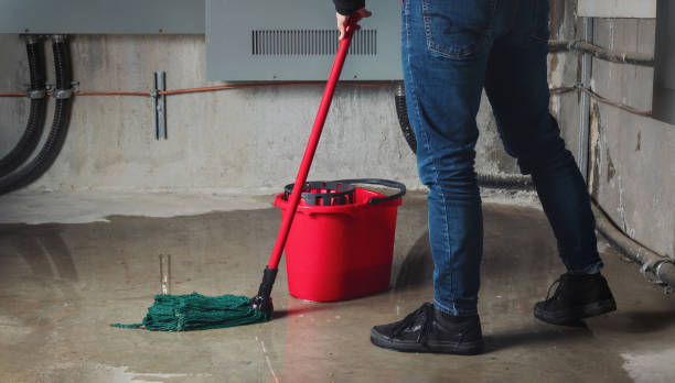 Best Professional water damage repair  in Mamou, LA