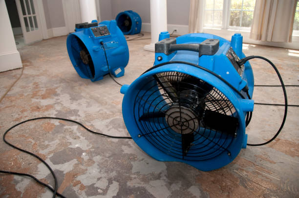 Best Emergency water damage restoration  in Mamou, LA