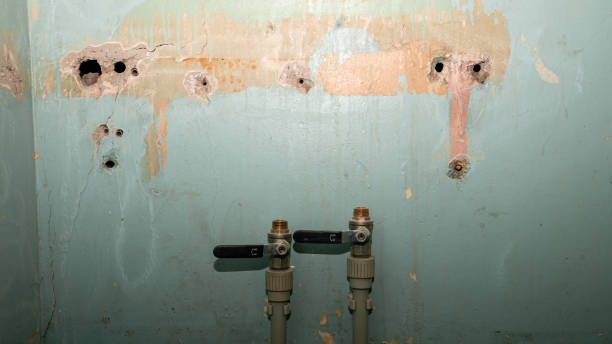 Best Mold removal after water damage  in Mamou, LA