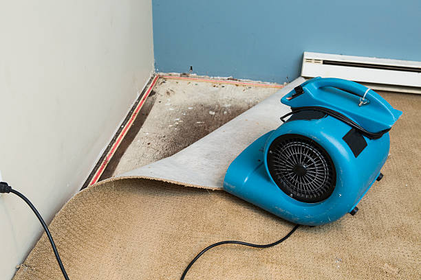 Best Ceiling water damage repair  in Mamou, LA