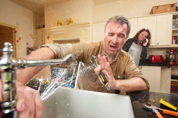Best Flooded house restoration  in Mamou, LA
